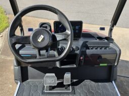 2025 Dach Falcon 2+2 1315