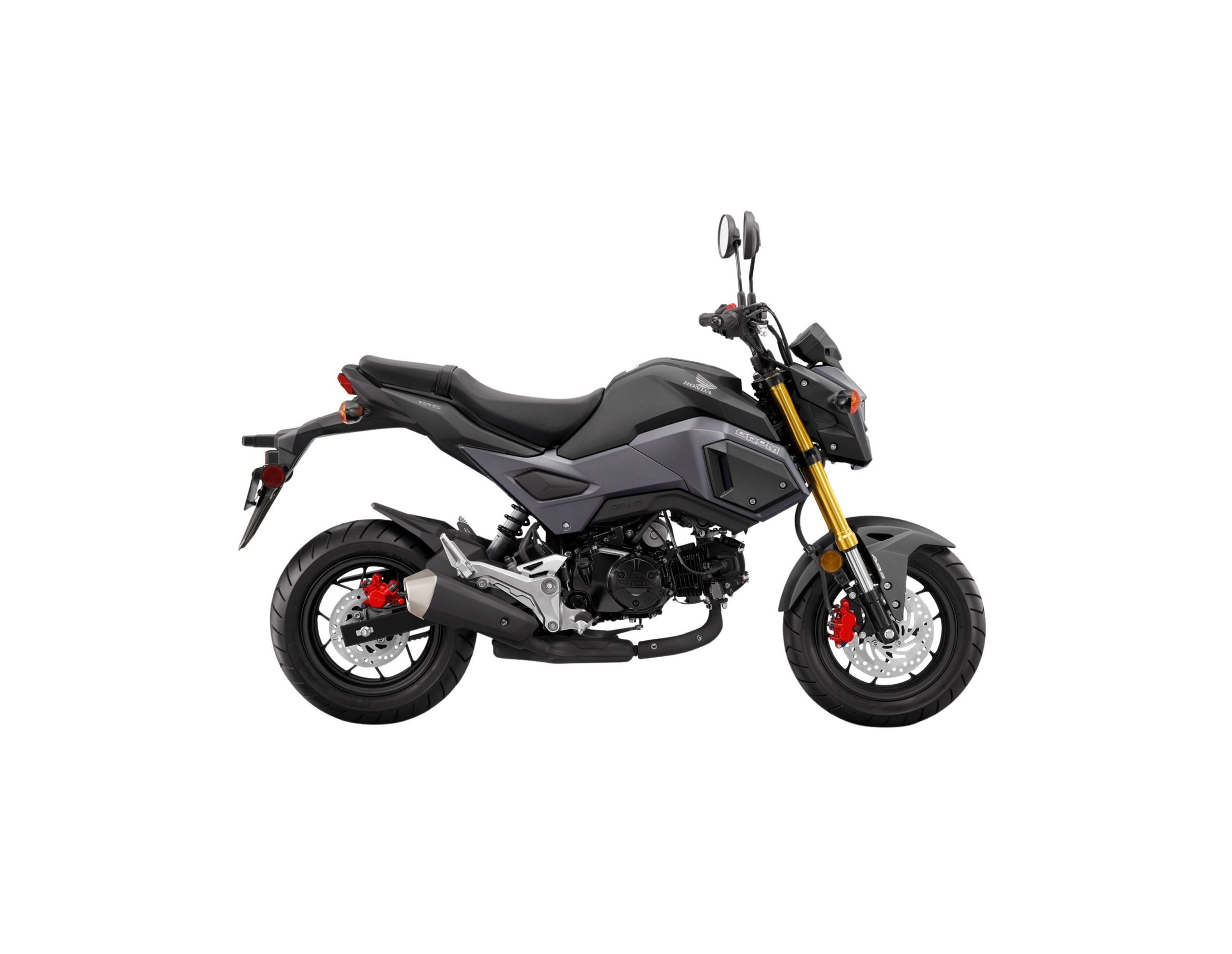 2018 Honda Grom Gray 01979